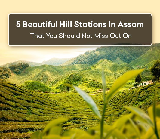 ^7A04A323ACFF86F943F69FD5E699808A03C21144F6C9BFCB40^pimgpsh_fullsize_distr Hill Stations in Assam